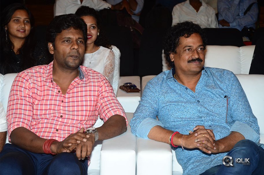 Srinivasa-Kalyanam-Movie-Success-Meet